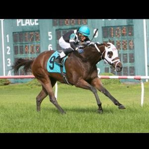 Meet your Posher, Luis